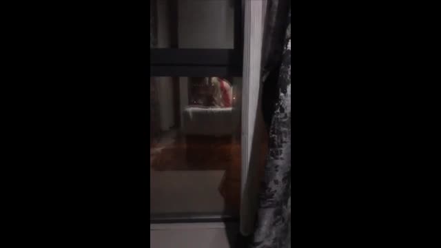 HD Türk İfşa